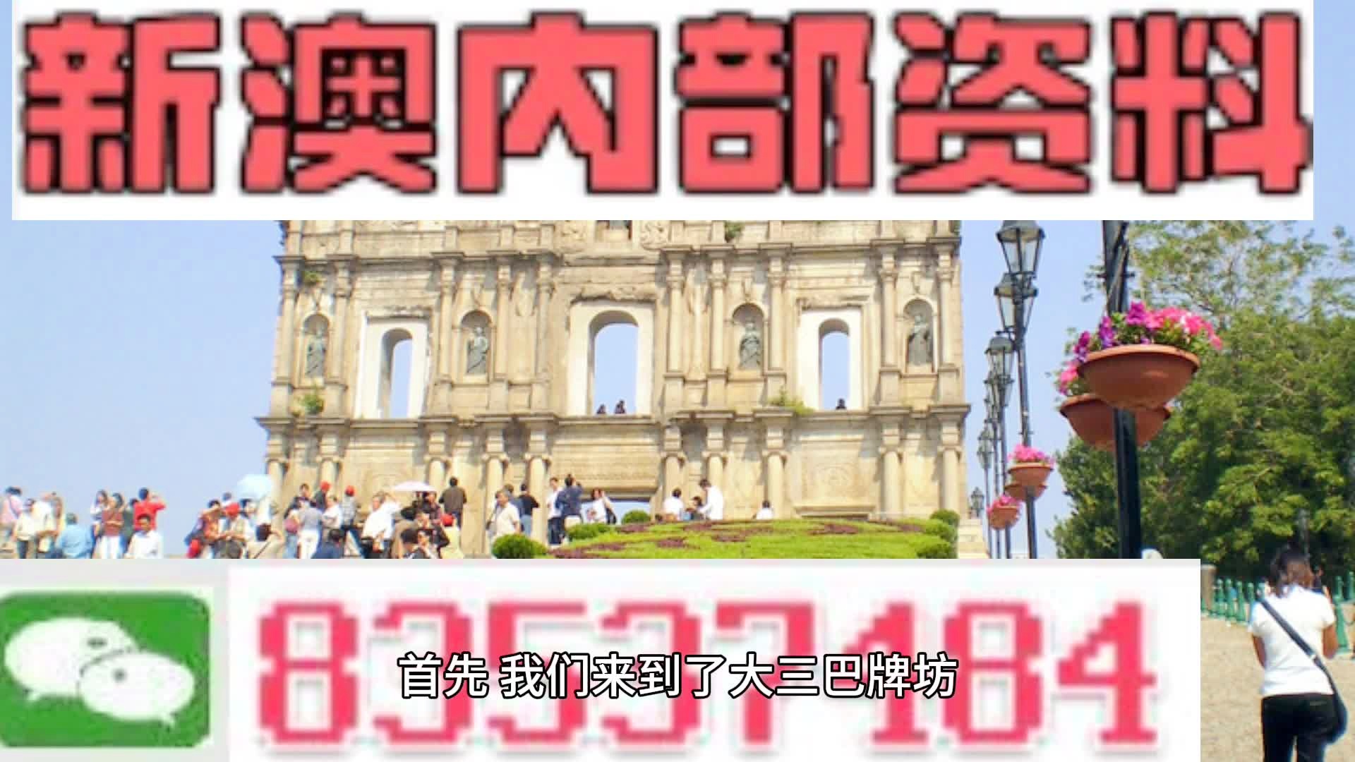 2024新澳今晚资料鸡号几号,实地验证分析策略_WP版84.219